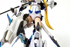 Photo No.09  of my completed Kotobukiya Hresvelgr Ater,  with added paint details.