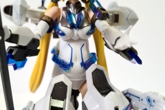 Photo No.16  of my completed Kotobukiya Hresvelgr Ater,  with added paint details.